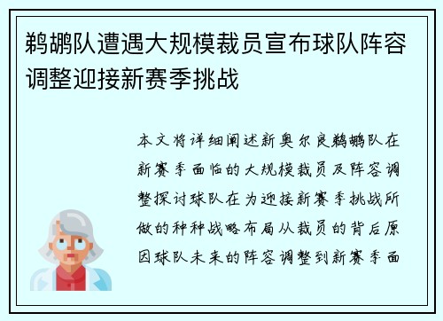 鹈鹕队遭遇大规模裁员宣布球队阵容调整迎接新赛季挑战